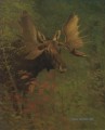 STUDIE EINES MOOSE Amerikaner syDen Albert Bierstadt Tier
